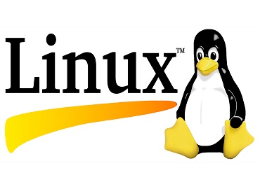 Linux Training in Patna Niks Technology